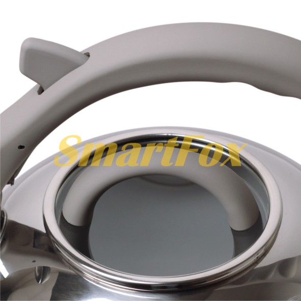 Чайник Kamille Сірий 2.8л з нержавіючої сталі зі свистком та скляною кришкою для індукції та газу