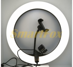 Лампа LED кольцевая S31 30 см