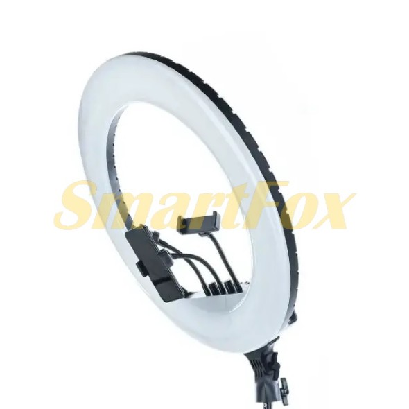 Лампа LED для селфи кольцевая светодиоднаяRL-21 RGB