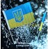 Прапор України з власником на авто 30х40см (продаж по 12шт, ціна за одиницю)